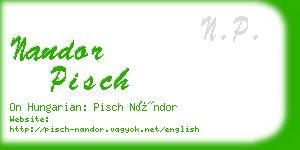 nandor pisch business card